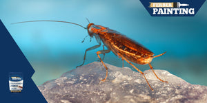 How to permanently get rid of cockroaches ?