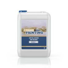 Damp Wall and Rising Damp Treatment