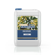Ficus Fertilizer