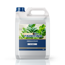 Zamioculcas Fertilizer
